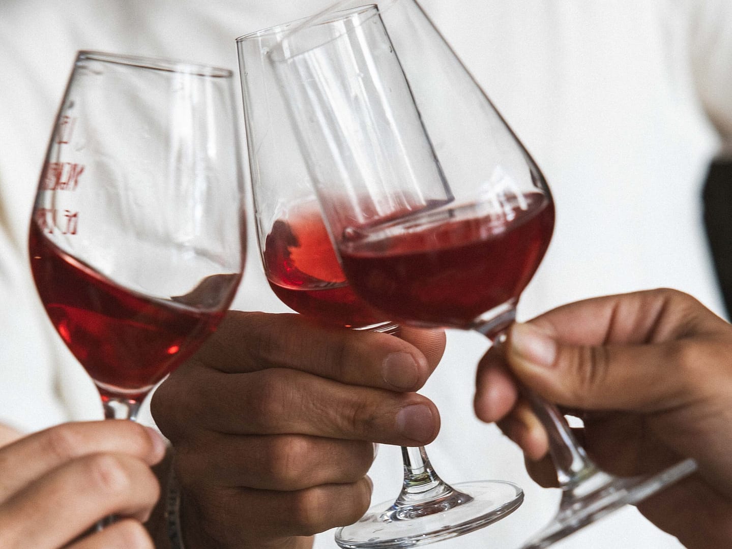 Rejoignez-nous pour une visite œnologique durable dans le sud de la France